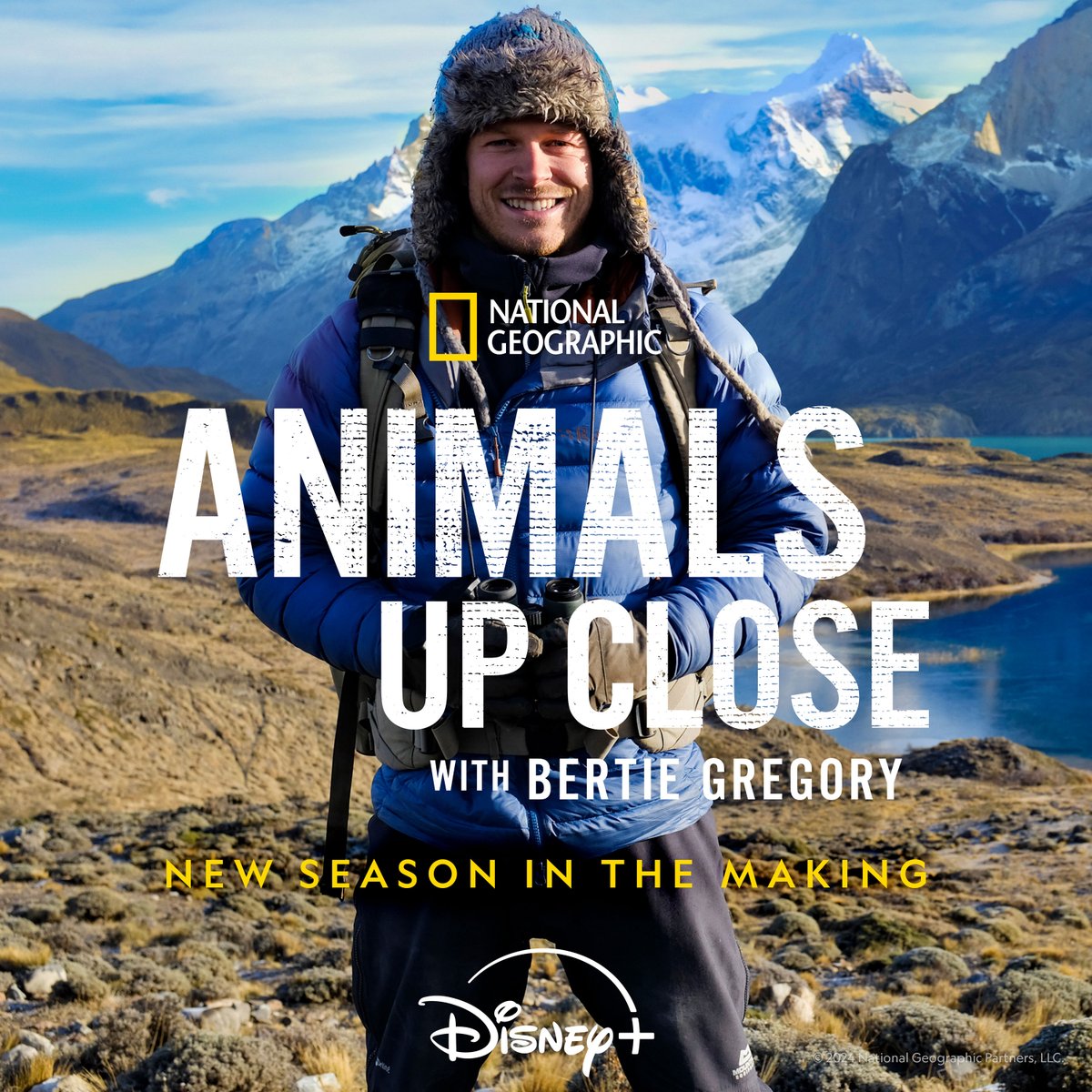 #AnimalsUpClose with <a href="/bertiegregory/">Bertie Gregory</a> is returning for a new epic season packed with edge-of-your-seat animal action. The team is already filming to bring you even more fascinating animal characters alongside the challenges they face on our rapidly changing planet.