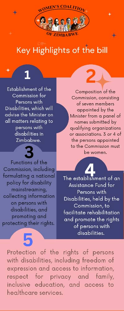 DID YOU KNOW? Public hearings on the Persons with Disabibities Amendment Bill are currently underway nationwide. Here are some key highlights of the Bill. #disabilityrights @woman_kind @OpenSociety @SiphoMalunga @fatoulo11 @euinzim @FODPZ1 @awdf01 @regis_mtutu @OxfaminSAF