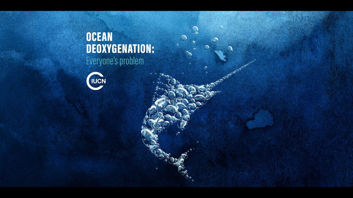 Today's ocean oxygen levels may have cascading impacts

More information:
blogger.com/blog/post/edit…

For Enquiry:
contact@marinescientist.org

#MarineScientist
#OceanResearch
#MarineEcology
#AquaticScience
#Oceanography
#MarineBiology
#MarineConservation
#MarineExploration