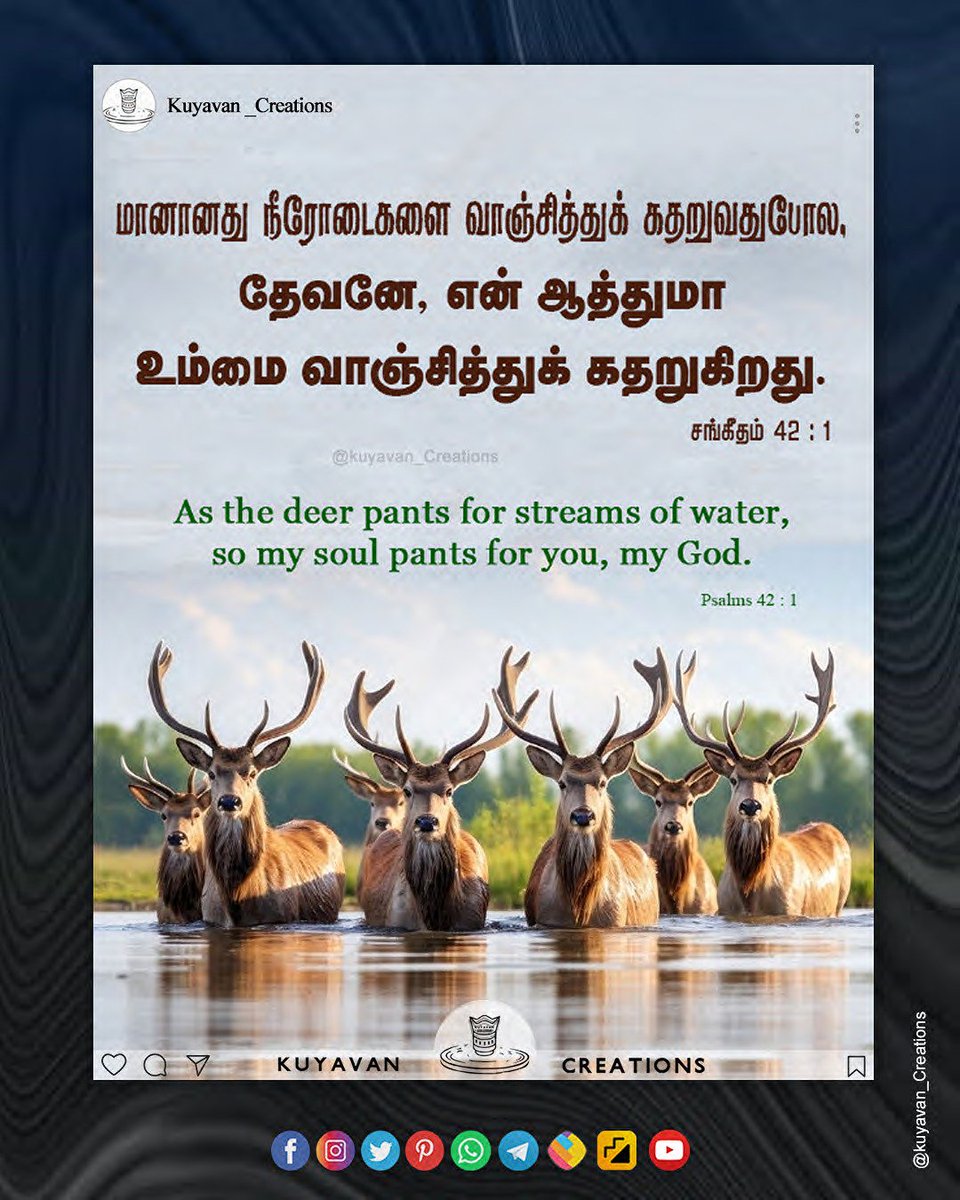 மானானது நீரோடைகளை வாஞ்சித்துக் கதறுவதுபோல, தேவனே, என் ஆத்துமா உம்மை வாஞ்சித்துக் கதறுகிறது. சங்கீதம் 42 : 1

As the deer pants for streams of water, so my soul pants for you, my God. Psalms 42 : 1

#bibleverse #bible #jesus #christian #god #jesuschrist #faith #biblestudy #love