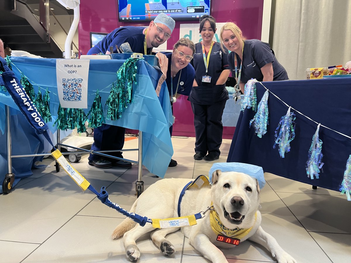 Today is #ODPday and the team are celebrating in our atrium by showing children, young people and their families what it's like to work in our operating theatres 🏥 Even our Cuddle Manager, Holly the Dog, has got involved! 🐶 #ODPday2024