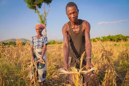 Nearly nine million people in Malawi are reeling from the devastating impacts of El Niño-induced floods and drought. They need our support now. Our joint call with @WFP and ‌@FAO: reliefweb.int/report/malawi/…