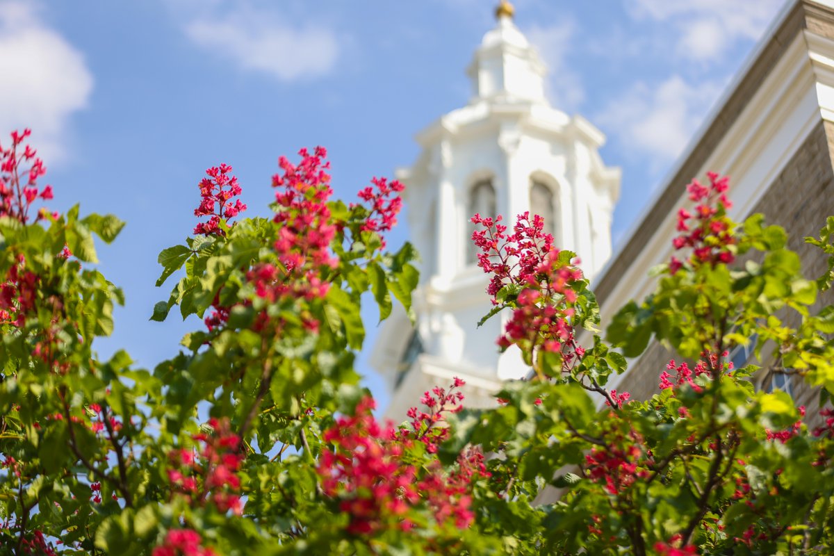 Today and forever, #UBuffalo honors and remembers the 10 lives our community lost on 5/14/22. #BuffaloStrong