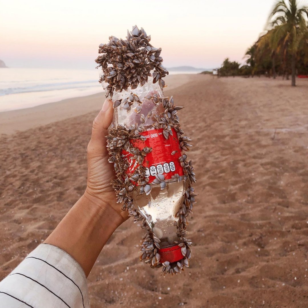 Plastic doesn’t belong in our environment ❌ Our recently published paper revealed just 56 companies are responsible for more than half of all branded plastic pollution. Read the full paper to learn more: science.org/doi/10.1126/sc… 📸: @haywoodsullivan