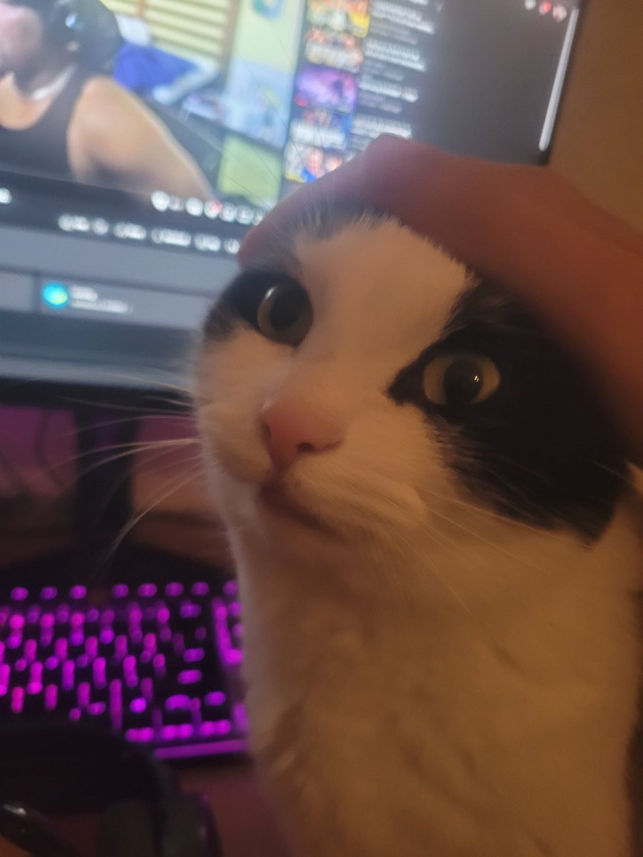FrancisFilum's tweet photo. @MooonoStreams https://t.co/uZQ2Da48bP