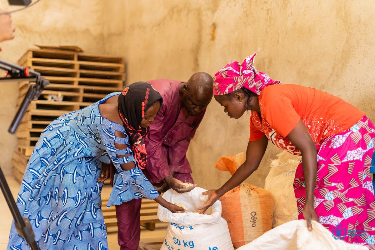 #Cameroon🇨🇲

@WFP’s #supplychain integrates smallholder farmers🧑‍🌾 into the local value chain, boosting the local economy and enhancing  #foodsecurity

In 2023, WFP purchased about7⃣,6⃣0⃣0⃣MT of food locally including 🍙sorghum🌾rice🫘beans and🧂salt

#ChangingLives
#ZeroHunger