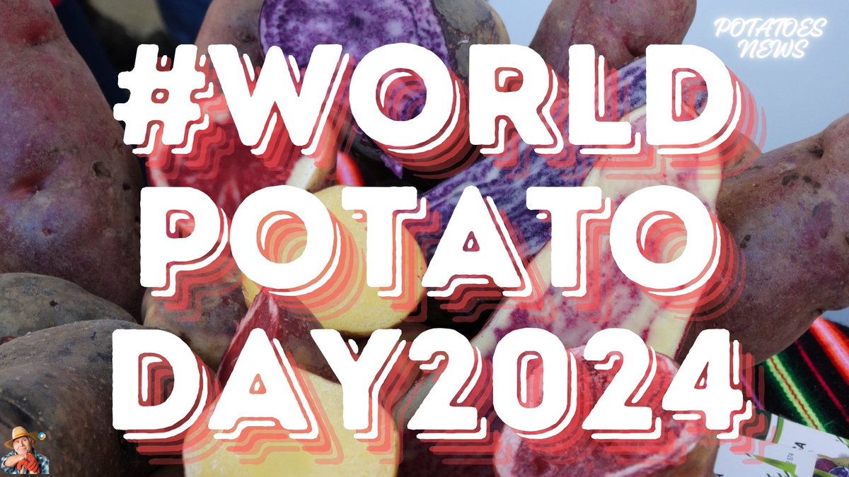 Celebrating World Potato Day 2024 This article calls on farmers and agronomists to join in the celebration of World Potato Day 2024 by taking photos against the backdrop of their fields and posting them on social media with the hashtag #worldpotatoday20... potatoes.news/celebrating-wo…