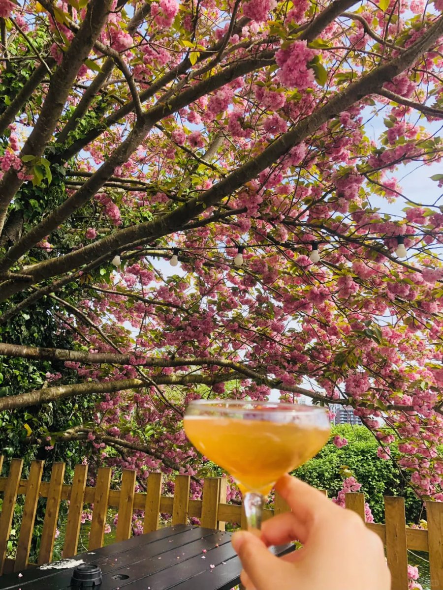 My day is full of natural beauty and my favorite food.