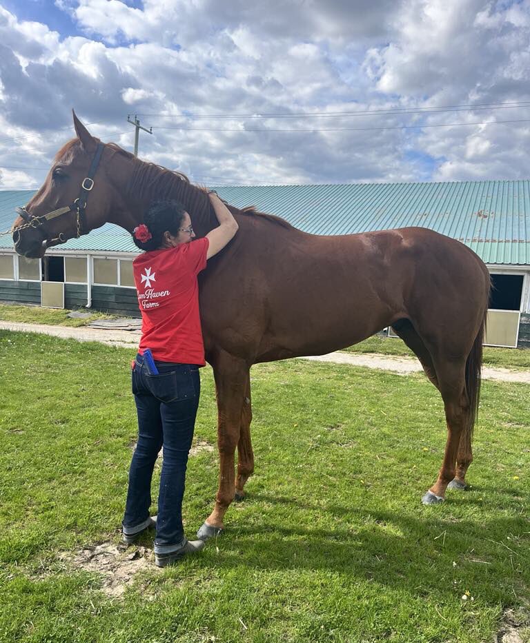 ~All bonds are built on trust, without it, you have nothing.~📸 @shirleycamhaven 🏇🇨🇦❤️🤍 #TeamCamHaven #Winner #Thoroughbreds #HorseRacing #OntarioRacing #Reload #HorseLove #LoveMyJob #Spoiled #TuesdayThoughts