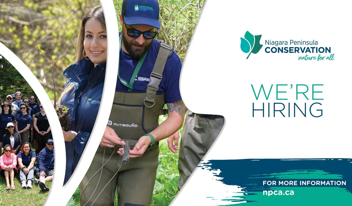 Ready to join the NPCA team?! 🤝💼 We're on the lookout for a detail-oriented Admin Assistant to support our Planning & Development department! If you're passionate about conservation & thrive in a fast-paced office environment, this role may be for you. buff.ly/3JW2xHQ