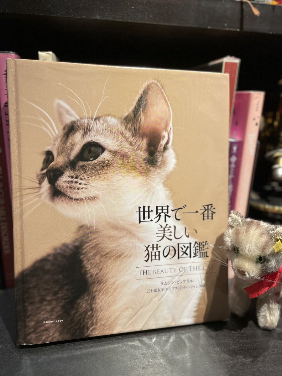 ||◤ #bar十誡書籍紹介📚 ◢||
『世界で一番美しい猫の図鑑』

猫たちの艶やかな毛並み、目の輝き、しなやかな身体を細部まで堪能することができる一冊🐈🐈‍⬛
オールカラーでずっしりと重たい本書では50種以上の猫を掲載。