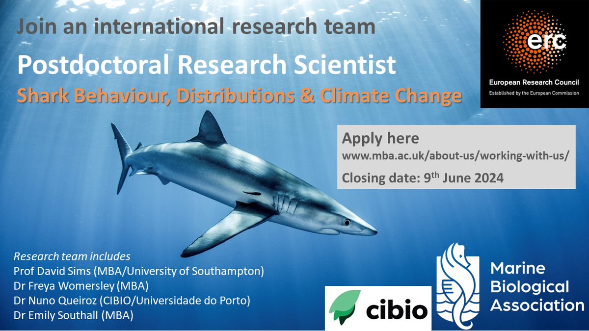 New Postdoc Research Scientist position available to work on #shark movements & distributions under #ClimateChange w/ biologging data Please apply here: mymba.mba.ac.uk/job/postdoctor…