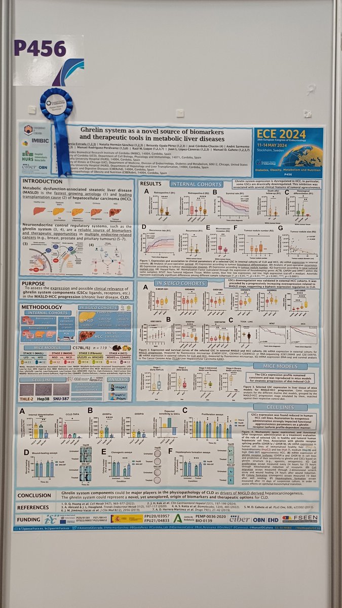 Come see our poster about the ghrelin system in liver diseases (#MASLD and #HCC) at #ECE2024 ! #BecauseHormonesMatter

Our work from @MolHepatolGC30 at @IMIBIC @Univcordoba @Fac_CienciasUCO is one of the Top 20 Basic and Translational Posters at #ECE2024. Will you miss it? 📝🧐