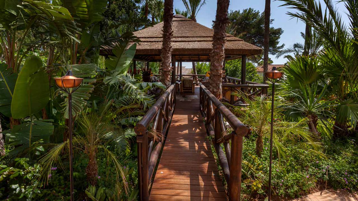 Transform your backyard into a tropical paradise with our timber and thatch structures!

Embrace luxury and elegance while enjoying the beauty of sustainable materials. 

Contact us today to bring paradise home: rb.gy/fv8gqo 

#Thatch #Gazebo #CapeReed