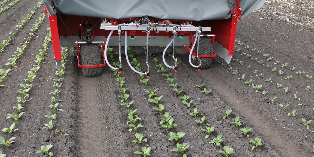 In #vegetable row crops, #SpotSpraying can save on insecticides and fungicides. Agroscope investigated the extent of this savings potential and compared the cost of spot spraying to broadcast treatments with a field sprayer. ➡️ agrarforschungschweiz.ch/en/2024/05/sus…