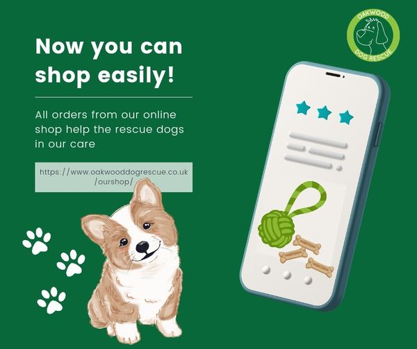 Did you know that we now have an online shop? 🛍️ You can buy stuff for your furry best friend, yourself, and even stuff for the dogs at Oakwood Dog Rescue who are waiting for their forever homes 🐶🐾 oakwooddogrescue.co.uk/ourshop/ #hull #Yorkshire #mustbehull #lovehull #shoplocal