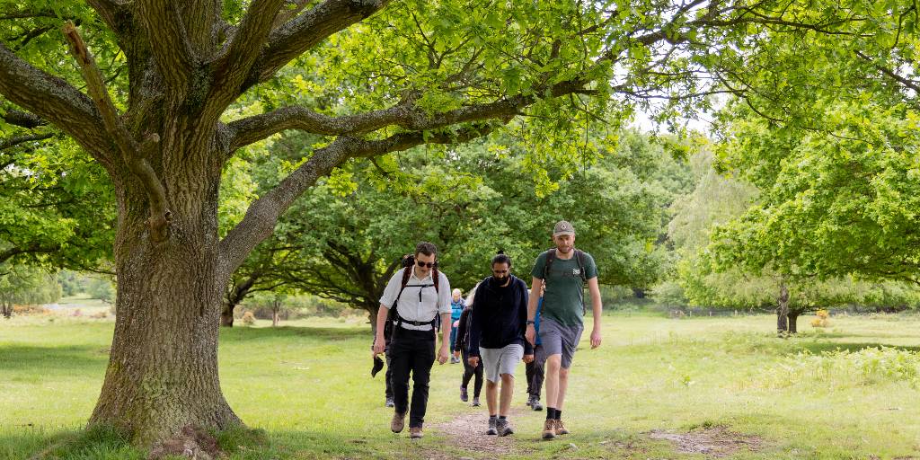 🚶This #NationalWalkingMonth come and join in with some of the 94 guided walks at this year’s National Forest Walking Festival 18-30 May, celebrating the rich and varied heritage of #theNationalForest.🌳🏰

👉 See the full brochure, here: bit.ly/4arzN4R

#NFWF24
