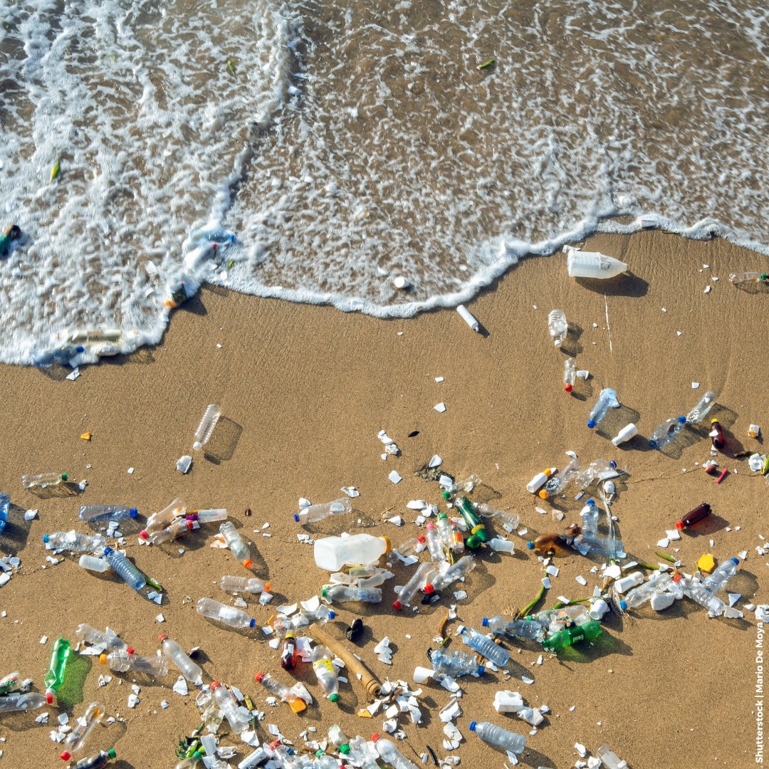 Los plásticos ya son el 85% de la basura marina ⚠️ Actualmente 11 millones de toneladas de plástico invaden nuestros océanos. Una cifra que podría triplicarse. Luchemos por un mundo #SinContaminaciónPorPlásticos.