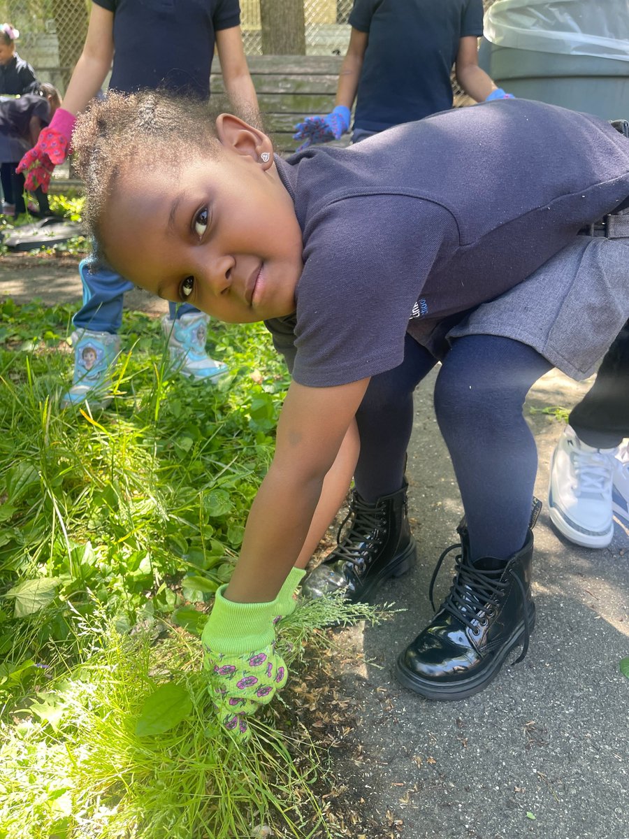 harlemlink's tweet photo. Spring is here, and it's never too early to learn how to take care of your school garden. Maintained for years by founding board member John Reddick, our Kindergarteners have taken up the charge as its new protectors! https://t.co/NEJcvFrrHH