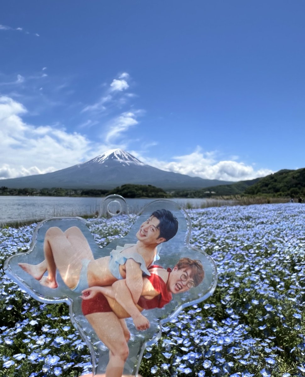 マユリカ×富士山×ネモフィラ！！
親和性が高い！！