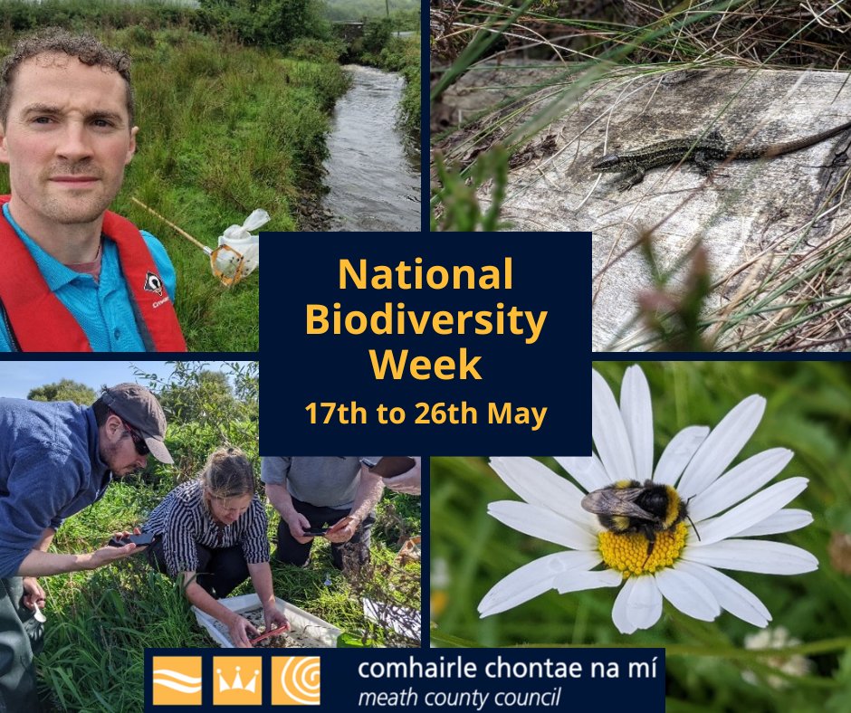 National Biodiversity Week, 17th to 26th May Join in this annual 10-day celebration of nature and wildlife offering a variety of free events and activities for you and your family! Find out more at bit.ly/MCCNationalBio… #NationalBiodiversityWeek