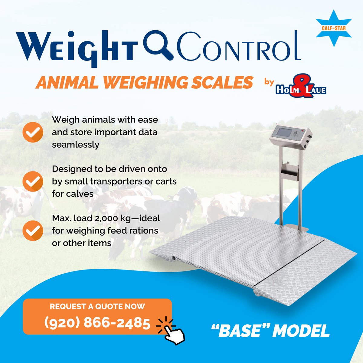 Calf Star tweet media