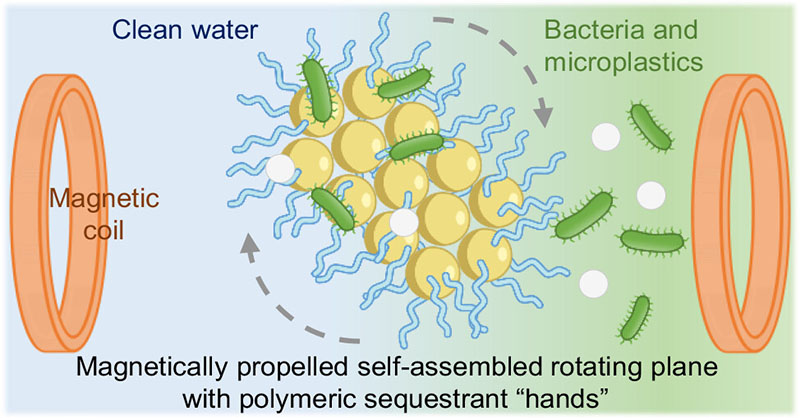 Researchers from @PumeraGroup at @FutureEnergyLab @CEITEC_Brno and @VUTvBrne designed magnetically controlled #microrobot swarms with polymeric sequestrant “hands” for catching bacteria and #microplastics in water. Read #OpenAccess: go.acs.org/9kx