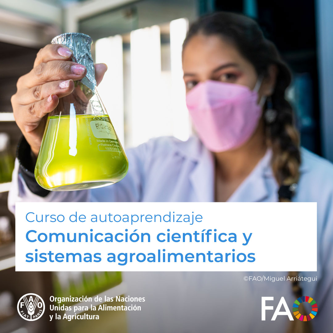 🎓 Curso gratuito en @FAOCampus Comunicación científica y sistemas agroalimentarios🧑‍🔬‍⚗️ Para permitir a profesionales de las ciencias compartir sus investigaciones y dirigirlas a una audiencia general, democratizando su acceso. ¡Matricúlate! ➡️ ow.ly/wQ9R50RzCYQ @FAO