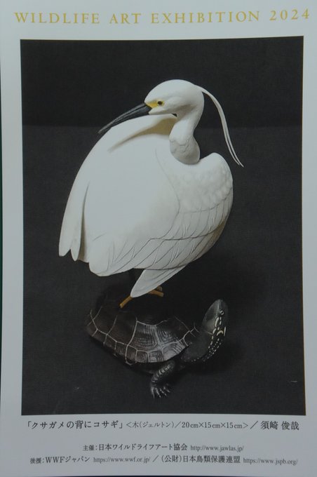 「animal duck」 illustration images(Latest)