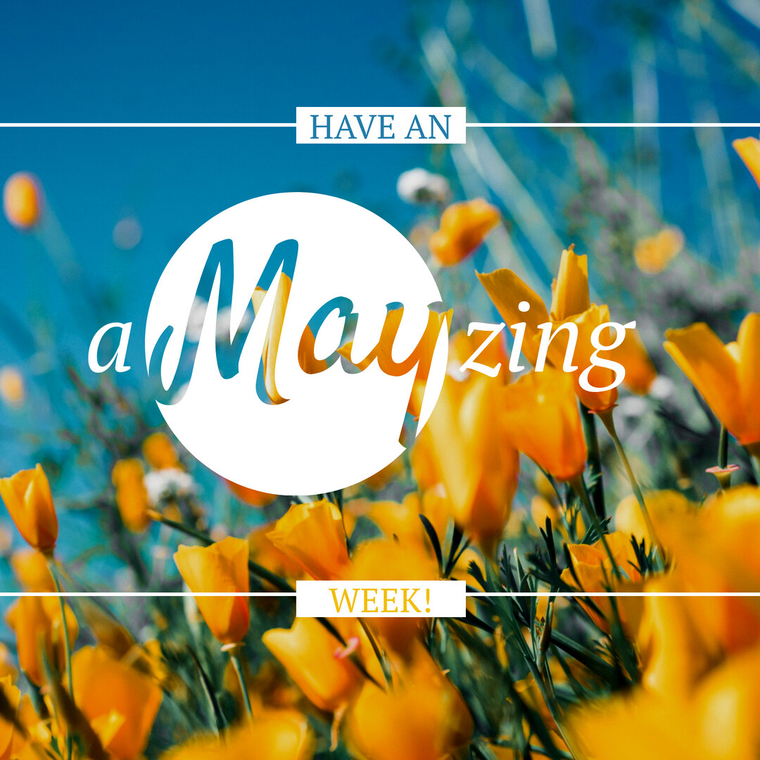 triciabelmonte's tweet photo. May flowers bloom, a vibrant hue, reminding entrepreneurs, dreams come true. Stay strong, stay bold, with all your might, and shine so very, very bright!🌟

#MayMotivation #MayMagic #MayMomentum https://t.co/djzoG5UlMZ
