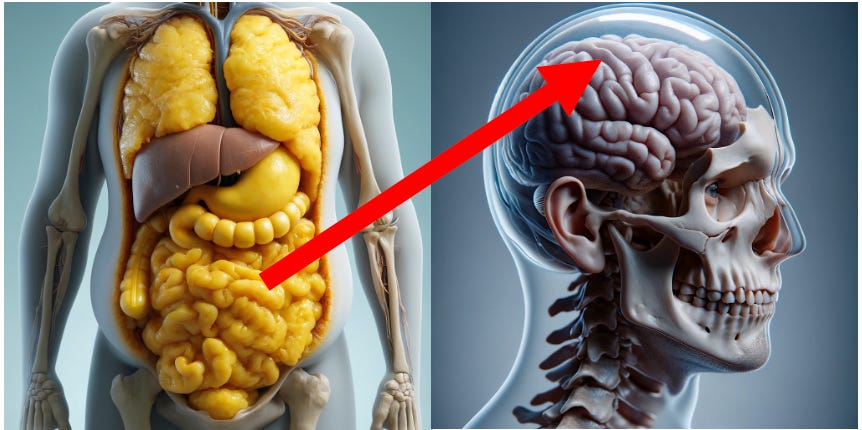 Belly Fat has been linked with Brain Shrinkage and Impaired Thinking. 🧠

Excellent article by Dr. Allan Mishra! Belly fat is inflammatory and decreasing this most harmful body fat will help to optimize health and brain health. 

vitalityexplorers.substack.com/p/belly-fat-li…