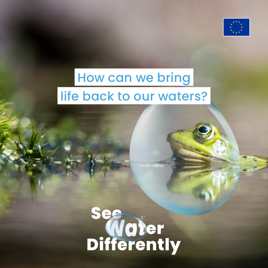 💦 Our monthly newsletter is here with stories that make a splash, such as: 💧 our new #WaterWiseEU campaign 🌱 the upcoming #EUGreenWeek 2024 🏆 #Natura2000Awards 2024 & #LIFEAwards24 ... and much more 👉 europa.eu/!7MbB8n #ForOurPlanet