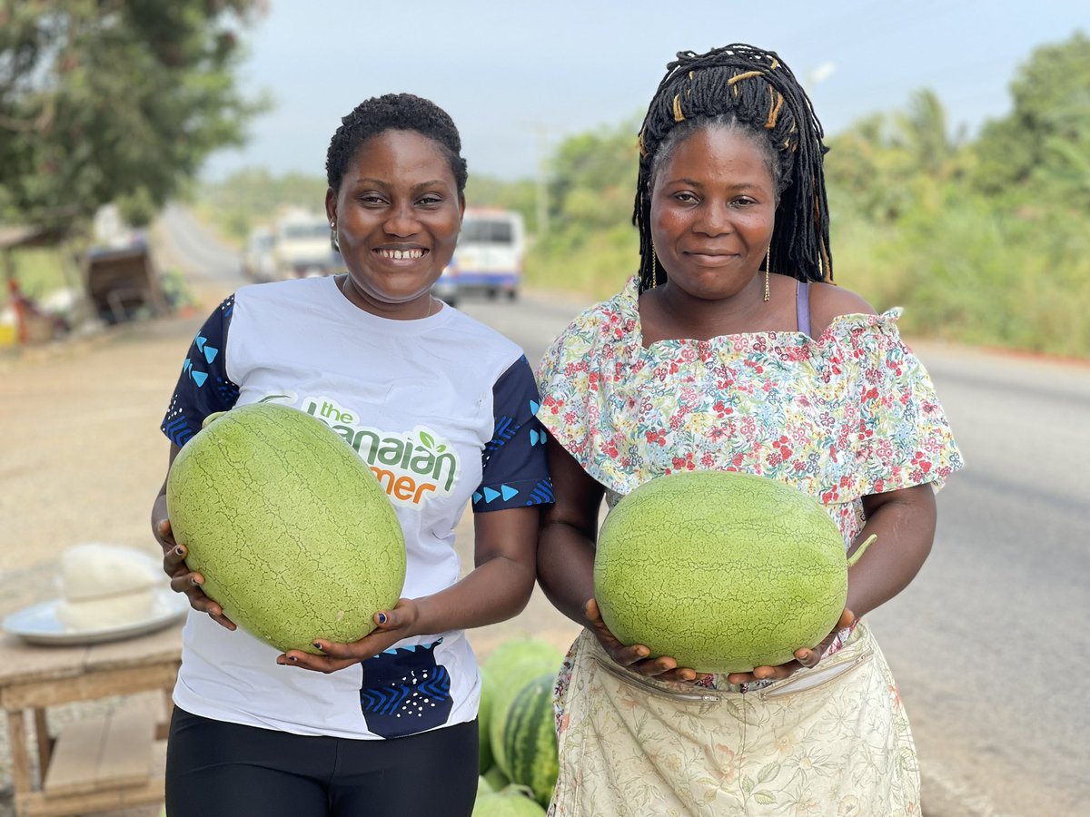 #DidYouKnow 

All rural people have the right to a prosperous and sustainable future. 

👩‍🌾Rural producers
🧕Rural women
🙋Rural youth

We must work together to help them build it.

Do you agree? RT if you do.

#CommunityGrowth 
#AgInfluencers