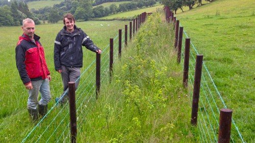 #HedgesAndEdges & agroforestry, a targeted increase of trees will:

✅Help water to sink far deeper into soils
✅Better protect soil & stored carbon
✅Reduce flood & drought impacts
✅Better protect the farm business & the public
✅Reduce future climate costs 4 @futuregencymru
🧵