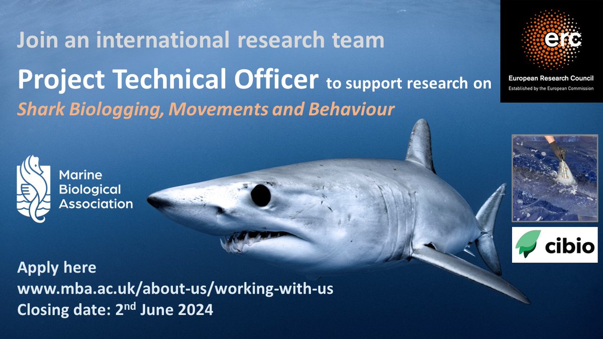 New Project Technical Officer position available to support research on #shark #biologging movements, behaviour & distributions under #ClimateChange Please apply here: mymba.mba.ac.uk/job/project-te…