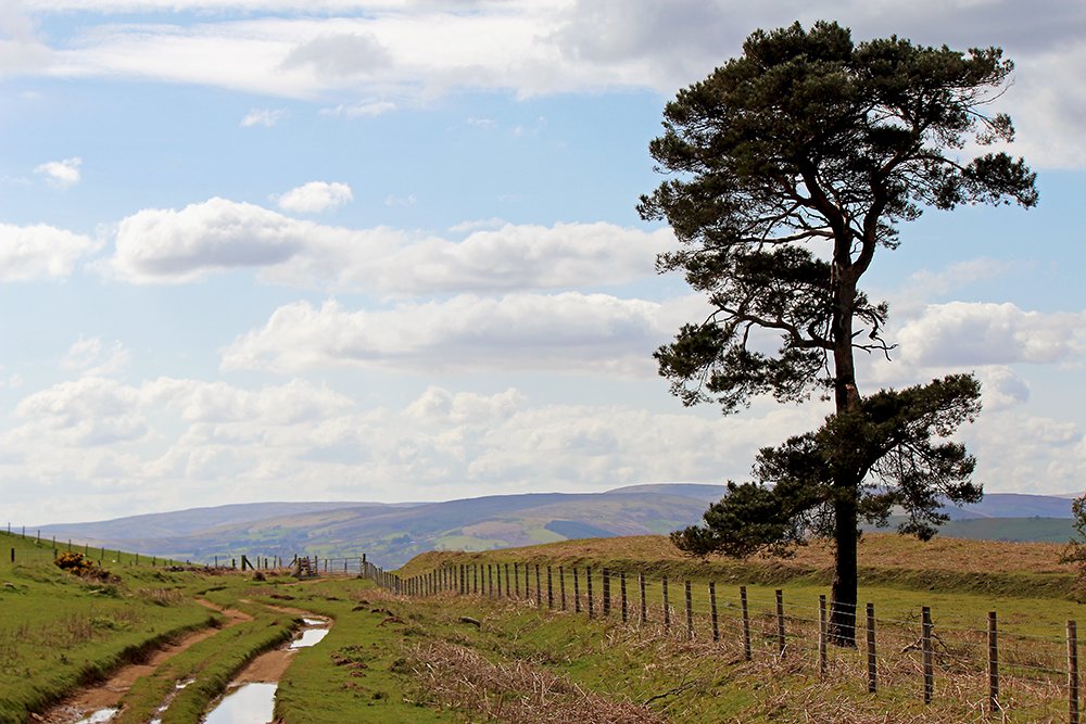 Up on the byway 📷 #photography #landscape