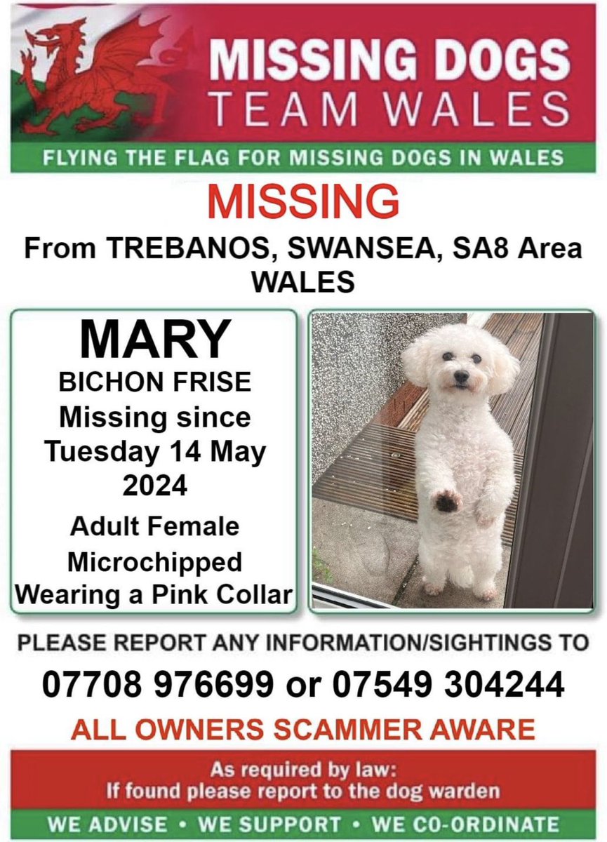 🔺NERVOUS, PLEASE DO NOT CALL OR CHASE, SIGHTINGS TO NUMBER ON POSTER ONLY 🔺 ❗❗MARY, MISSING From #TREBANOS, #SWANSEA, #SA8 Area #WALES ❗ ❗SINCE TUESDAY 14th MAY 2024. ❗❗PLEASE CALL NUMBER WITH ANY SIGHTINGS/INFORMATION ❗
