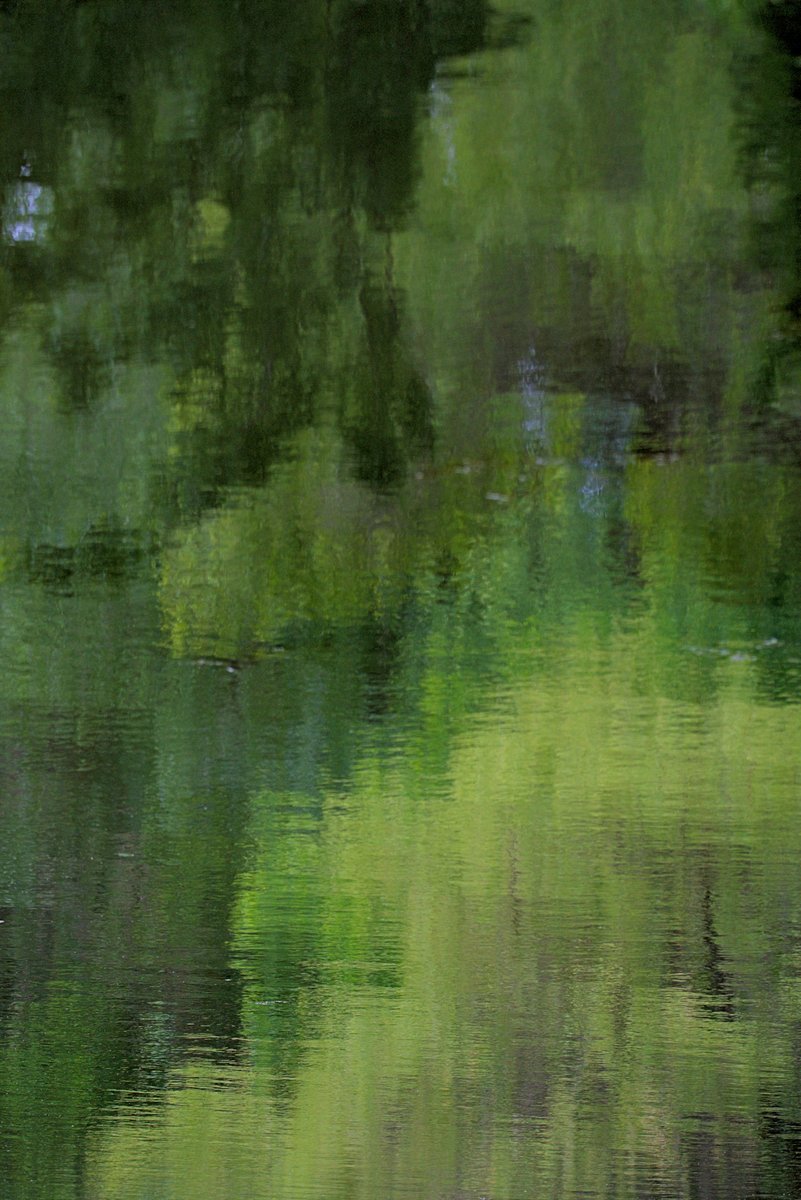 Abstract pond action.