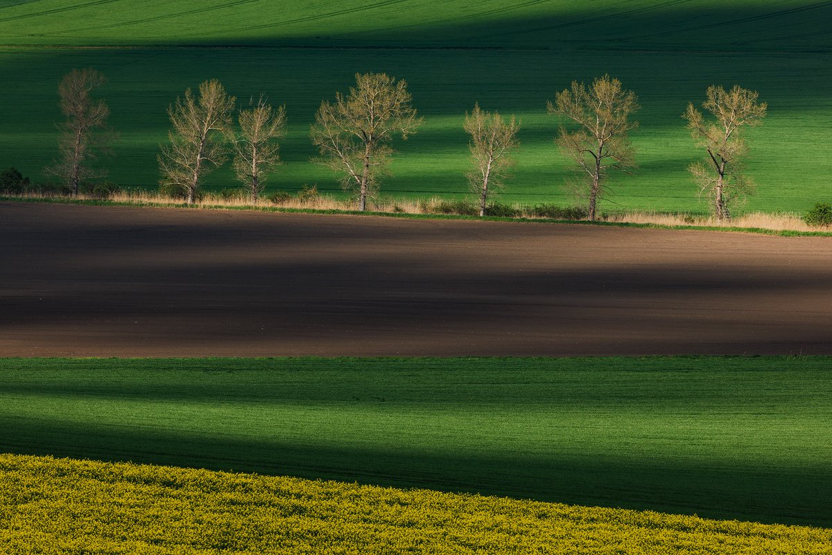 Dappled Light South Moravia