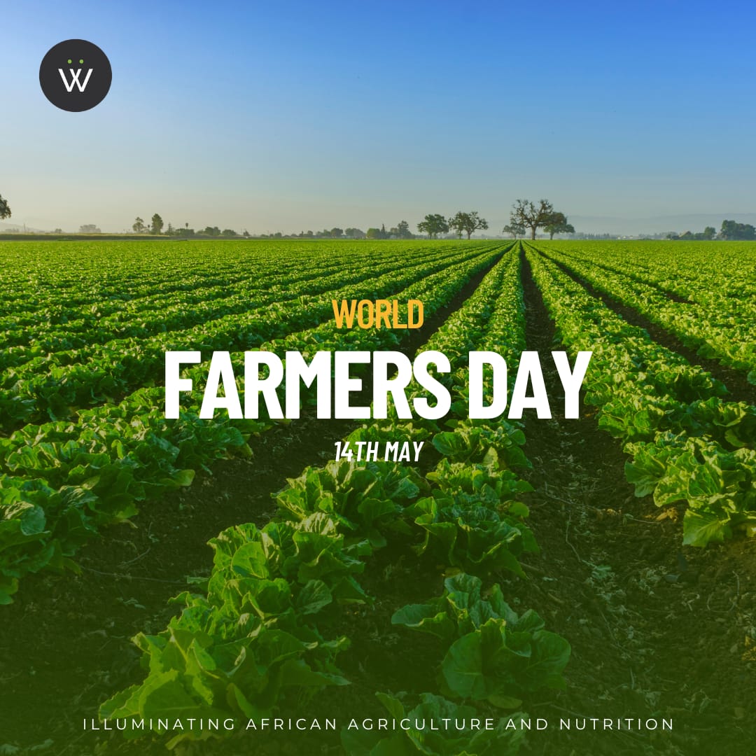 Happy #WorldFarmersDay
Today, we celebrate the heroes of our food system - the farmers. 
We recognize your hard work, dedication & contribution to our society. 
Tag a farmer who deserves recognition and let's show our appreciation 💪

#Wandieville #FoodSystem
#Agriculture