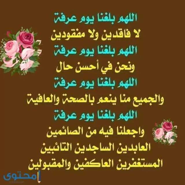 عاشق الأهلى (@farag_elks16939) on Twitter photo 