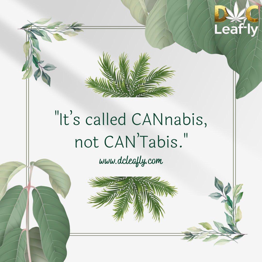 Embrace the power of CANnabis, not Can't Abis! 🌿 Elevate your experience with our premium products at DC Leafly. 

Visit dcleafly.com to discover a world of possibilities. Don't miss out! 🌿✨

 #DCMarijuana #WashingtonWeed #CannabisCommunity #DistrictDank