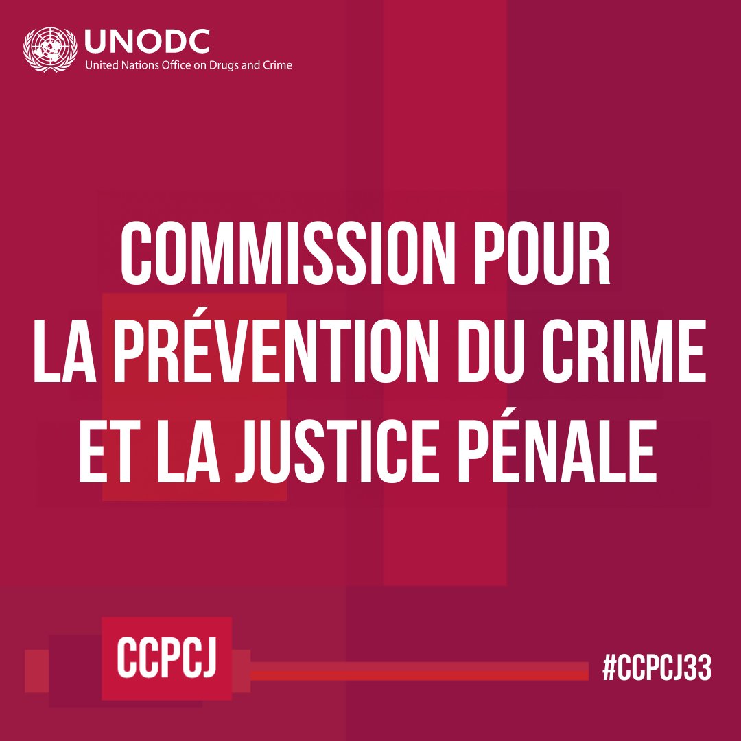 Pour créer une société sûre et sécurisée, la justice doit être accessible à toutes & tous ! Suivez la 33e session de la Commission pour la prévention du crime et la justice pénale en cours à @UN_Vienna & en ligne pour en savoir plus. bit.ly/CCPCJ33