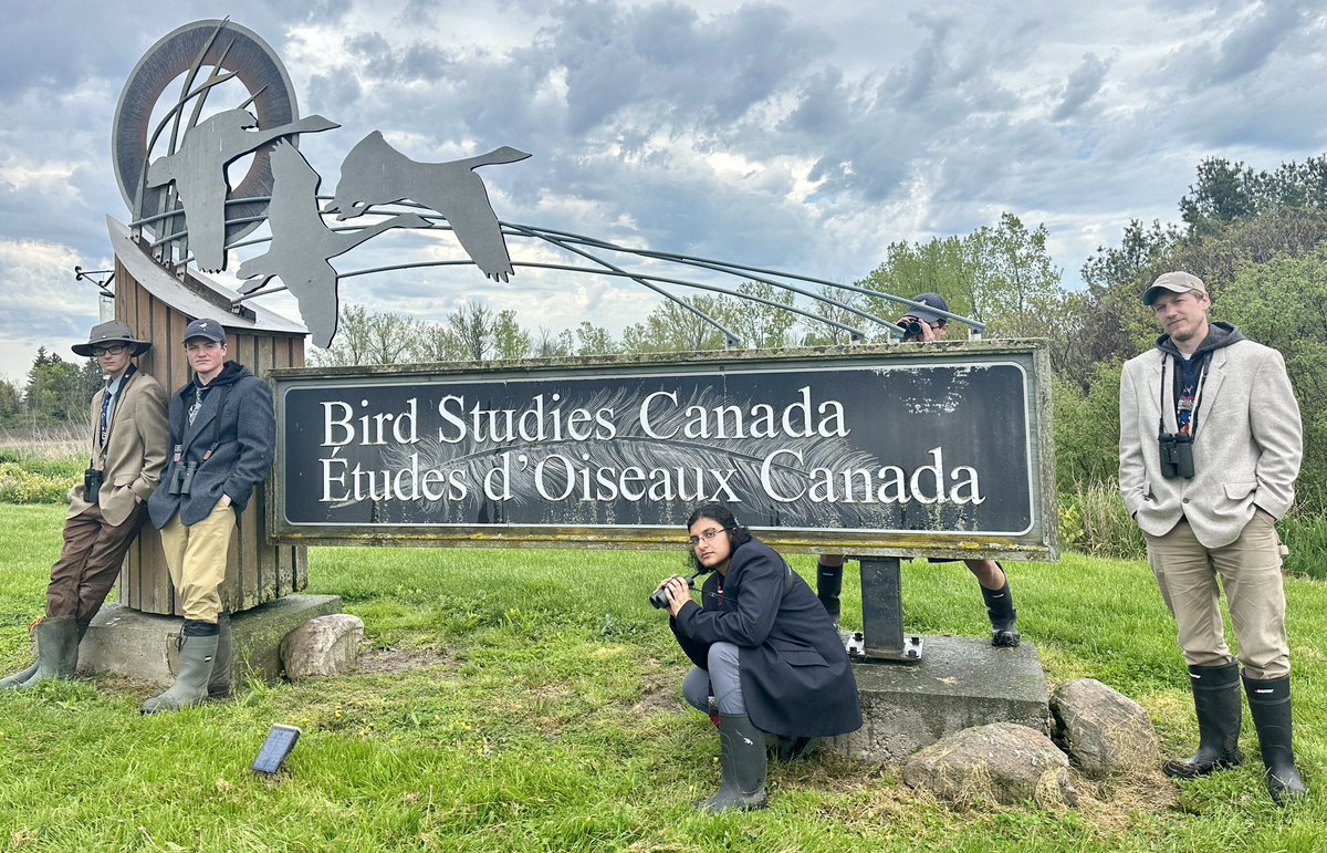 Good luck today to @BirdsCanada_ON @BirdsCanada Forest Birds at Risk Team “LOWA your expectations” as they tromp around Long Point trying to find as many species as possible to raise funds for @birds.canada and LPBO. Sponsor their effort at birdscanada.org/birdathon