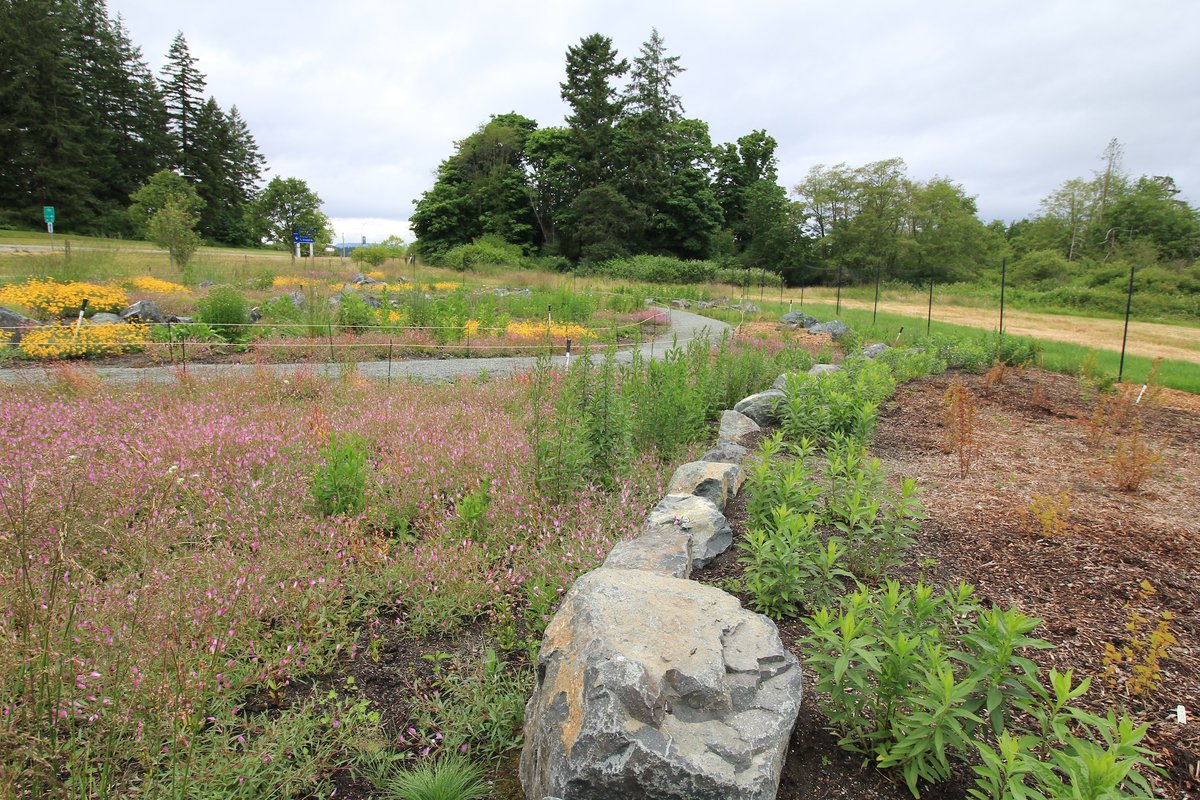 Please note that the YYJ Pollinator Garden will be closed from Tuesday, May 14 to Friday, May 17 to allow for fencing work to be done. During this time, access to the Flight Path multi-use trail in the vicinity may be disrupted. We apologize for any inconvenience this may cause.