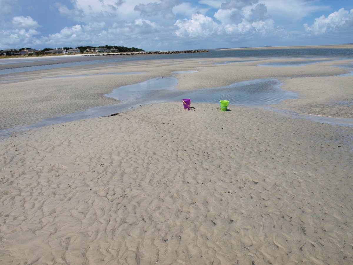 Two colorful pails on the beach for #TidesOutTuesday #Twosday #AlphabetChallenge #WeekT  Hilton Head Island, South Carolina  🏖️
