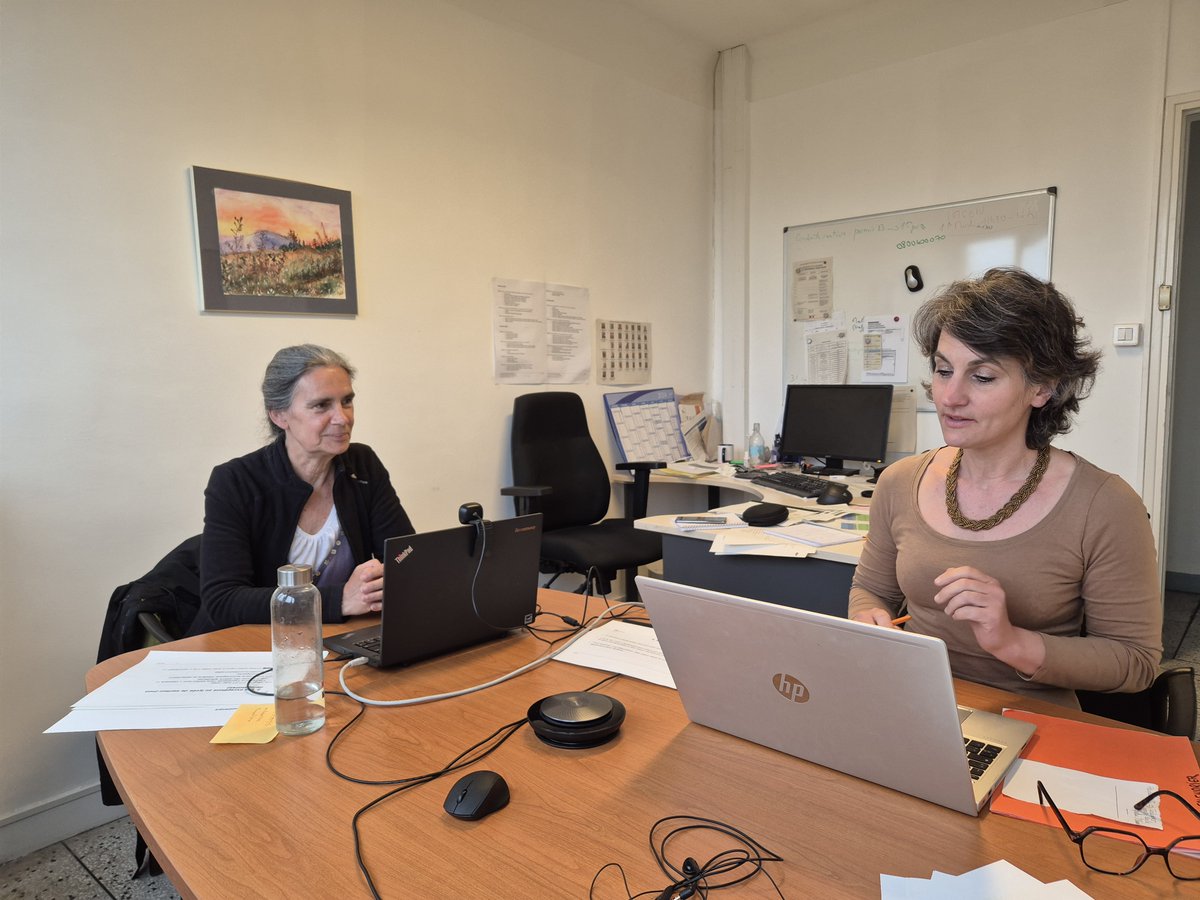 DRAIO_OCCITANIE's tweet photo. [Webinaires flash Affelnet] 3ème RDV💻 #webinaire 📱d'accompagnement sur les procédures d'affectations. Ce mardi, focus sur les #dérogation et les vœux spécifiques. #procédure #affelnet #srfd #accompagnement #voeux #ensemble  @RA_Occitanie  @acmontpellier @DRAIO_OCCITANIE https://t.co/TnOzTF7bbR