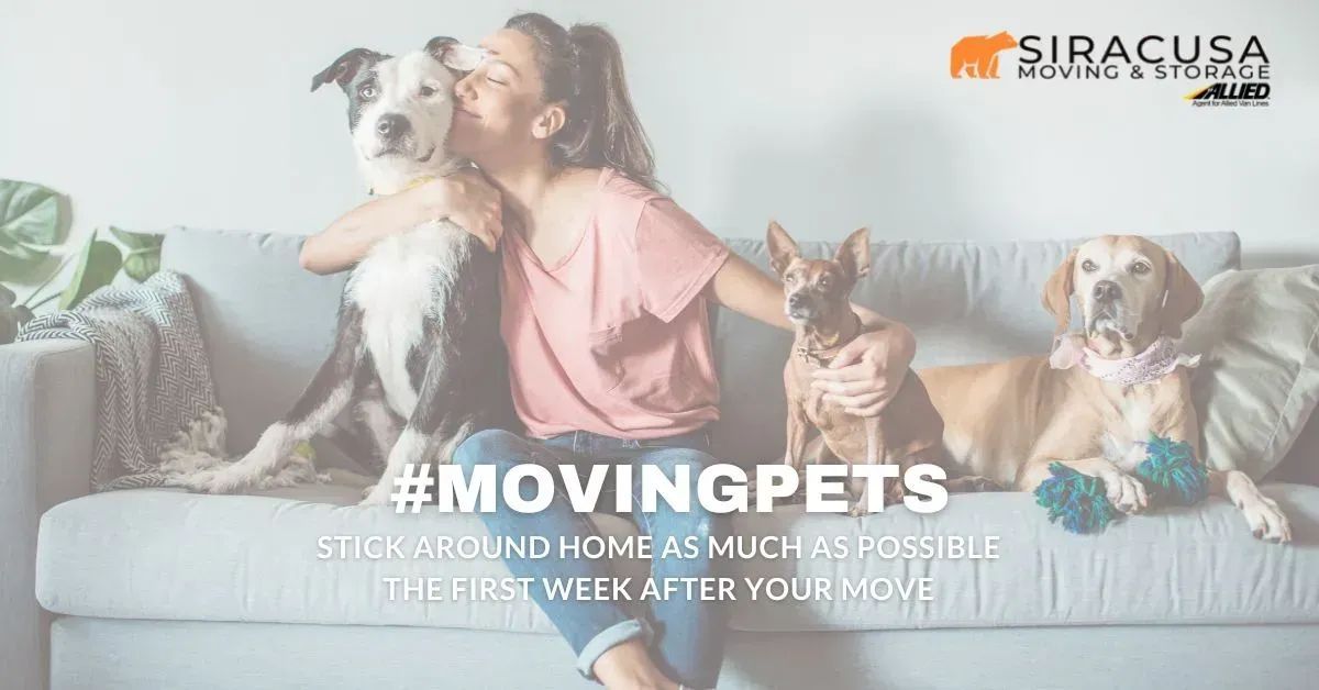 🐱🏡🐶 #MovingPets
We can help ensure a smooth, less stressful move so you can focus on your pets -- call, chat on our website, or get started online here: buff.ly/3d5pSG8

#movingtips #planningamove #siracusamoving #awardwinningmovers #residentialmovers #effortlessmoving