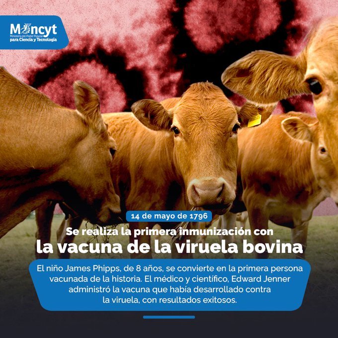 #Efemérides | #14May Se realiza la primera inmunización con la vacuna de la viruela bovina 💉🐮🐄 Este importante evento marcó el inicio de la vacunación como método efectivo para prevenir enfermedades. @Gabrielasjr @Mincyt_VE #VenezuelaVaPaArriba