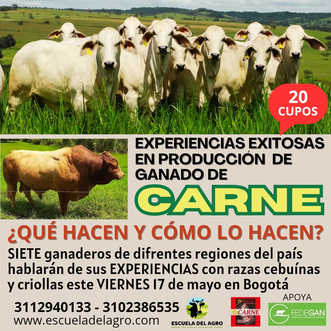 💯 Experiencias exitosas en producción de ganado de carne en #Bogotá 🤠🐂

🔔 ¡Imperdible! Encuentro de 7 ganaderos de diferentes regiones que hablarán de sus trabajos con razas cebuinas y criollas.

🗓 Viernes 17 de mayo
☎ 3113940133 - 3102386535 (mayor información)

Allá nos